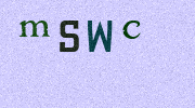 Visual Confirmation Security Code