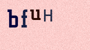 Visual Confirmation Security Code