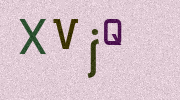 Visual Confirmation Security Code