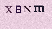 Visual Confirmation Security Code