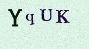 Visual Confirmation Security Code