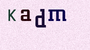 Visual Confirmation Security Code
