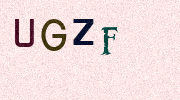 Visual Confirmation Security Code