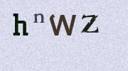 Visual Confirmation Security Code