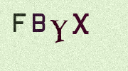 Visual Confirmation Security Code