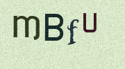 Visual Confirmation Security Code