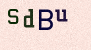 Visual Confirmation Security Code