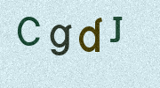 Visual Confirmation Security Code