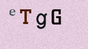 Visual Confirmation Security Code
