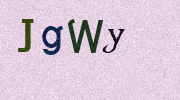 Visual Confirmation Security Code
