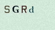 Visual Confirmation Security Code