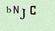 Visual Confirmation Security Code