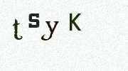 Visual Confirmation Security Code