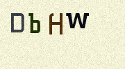 Visual Confirmation Security Code