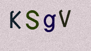 Visual Confirmation Security Code