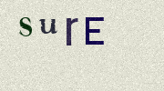 Visual Confirmation Security Code