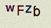 Visual Confirmation Security Code
