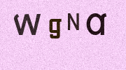 Visual Confirmation Security Code