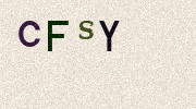 Visual Confirmation Security Code