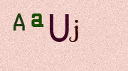 Visual Confirmation Security Code
