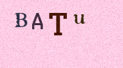 Visual Confirmation Security Code