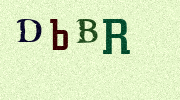 Visual Confirmation Security Code