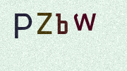 Visual Confirmation Security Code