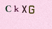 Visual Confirmation Security Code