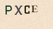 Visual Confirmation Security Code