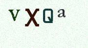 Visual Confirmation Security Code