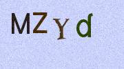 Visual Confirmation Security Code
