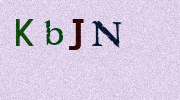 Visual Confirmation Security Code