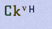 Visual Confirmation Security Code