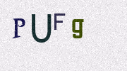Visual Confirmation Security Code