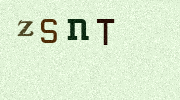Visual Confirmation Security Code