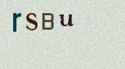Visual Confirmation Security Code