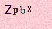 Visual Confirmation Security Code