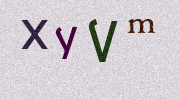 Visual Confirmation Security Code