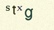 Visual Confirmation Security Code