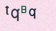 Visual Confirmation Security Code