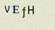 Visual Confirmation Security Code