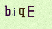 Visual Confirmation Security Code