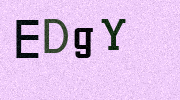 Visual Confirmation Security Code