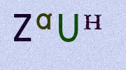 Visual Confirmation Security Code