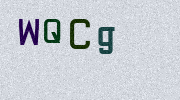 Visual Confirmation Security Code