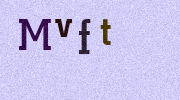 Visual Confirmation Security Code