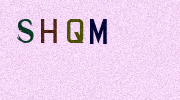Visual Confirmation Security Code