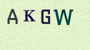Visual Confirmation Security Code