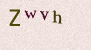 Visual Confirmation Security Code