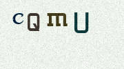 Visual Confirmation Security Code